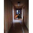 fotografia